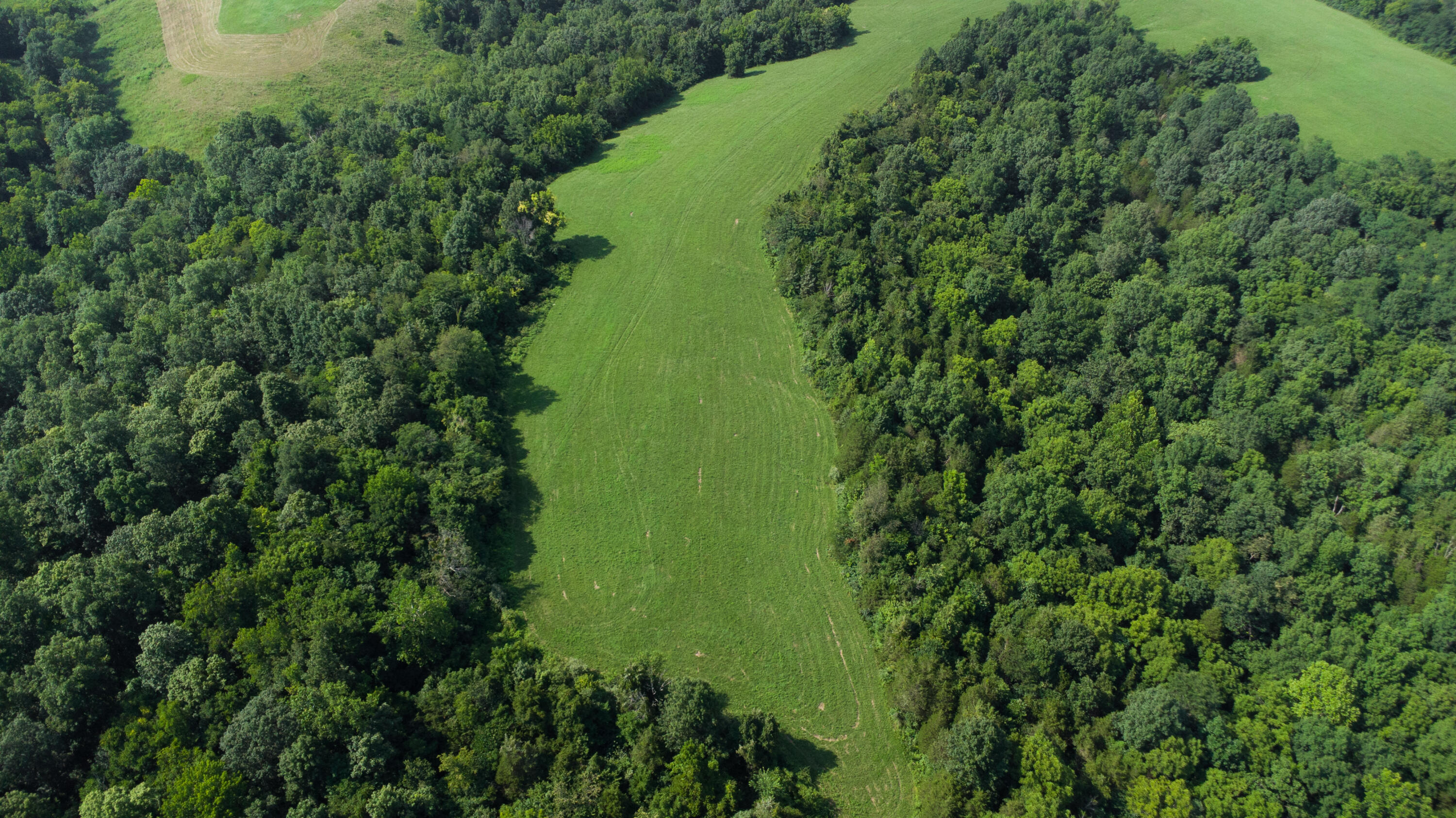 0 Baton Rouge Tract 1 Road Williamstown, KY 41097 - Photo 17 of 25