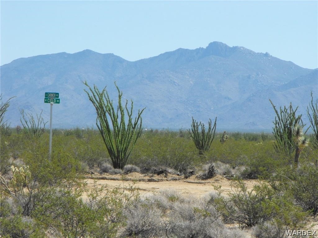 51 West Desierto Road Yucca, AZ 86438 - Photo 3 of 9 Gallery Image 3