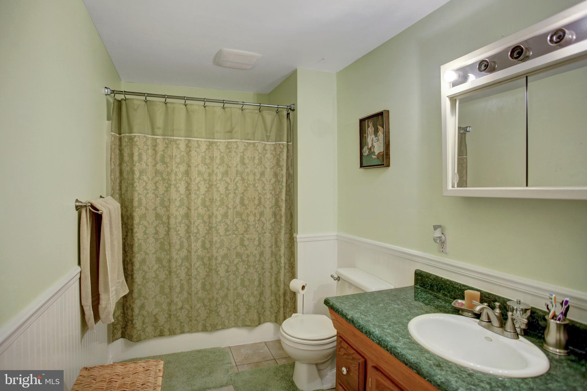2459 County Line Road York Springs, PA 17372 - Photo 13 of 21 Bathroom