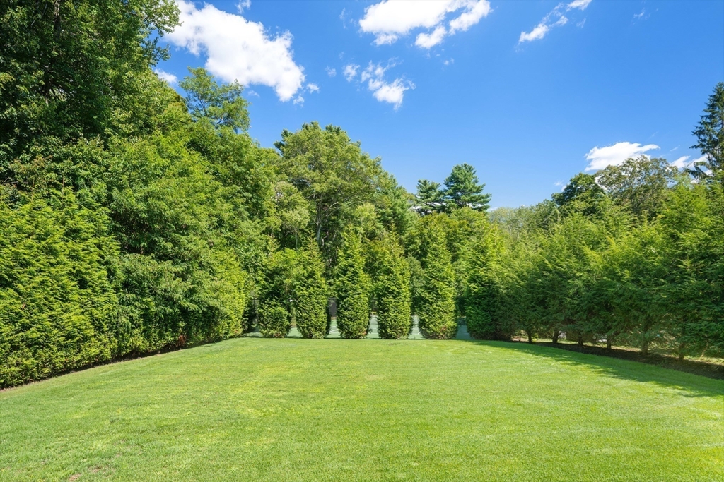 78 Pheasant Landing Road Needham, MA 02492 - Photo 33 of 35 a view of a field with a trees in the background