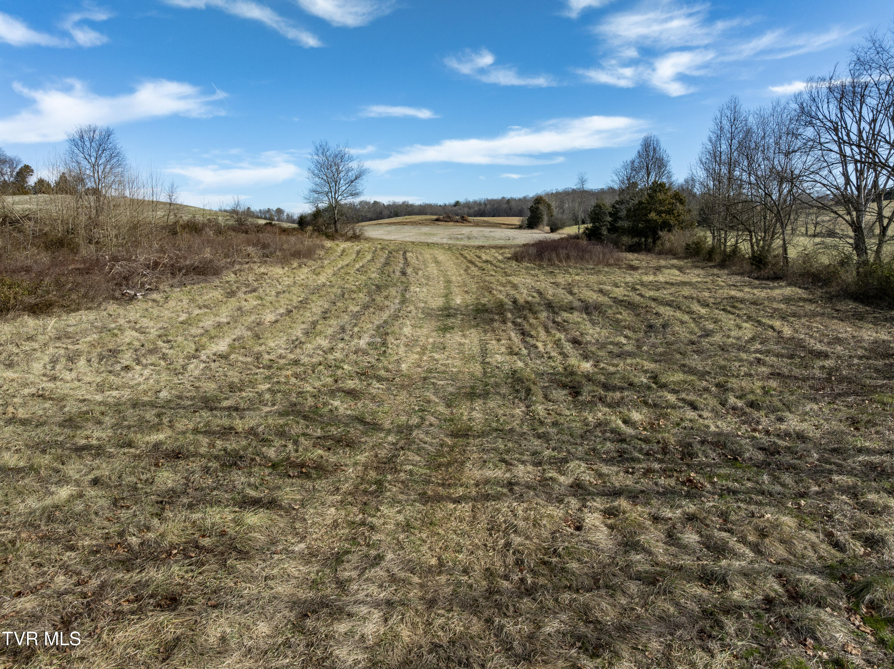 0 Pleasant Hill Road Chuckey, TN 37641 - Photo 26 of 28 PleasantHill--24