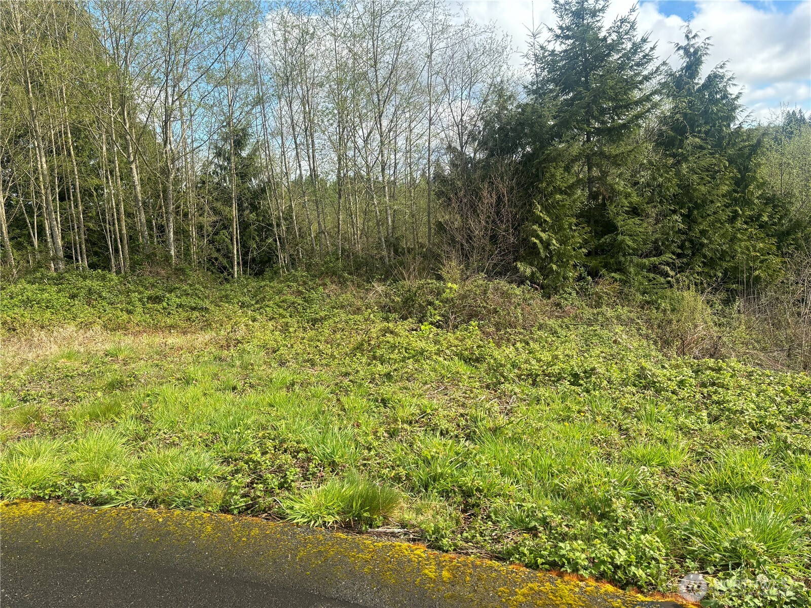 10 Timber Lane Elma, WA 98541 - Photo 1 of 3 Gallery Image 1