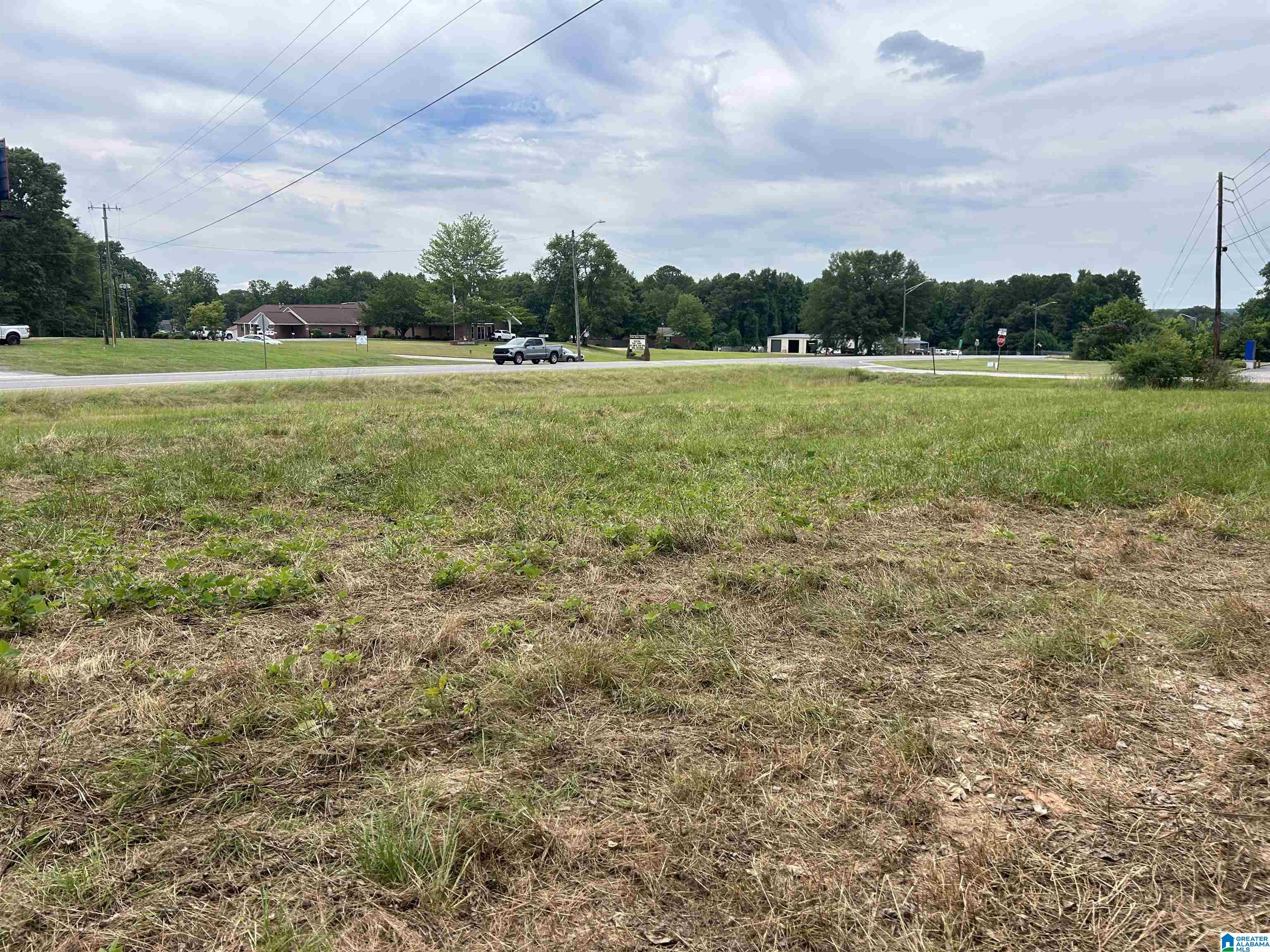 0 Highway 431, Unit 1 Roanoke, AL 36274 - Photo 3 of 5