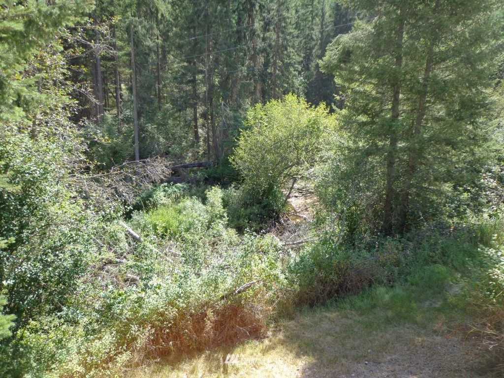 932 Trout Creek Road Republic, WA 99166 - Photo 11 of 13