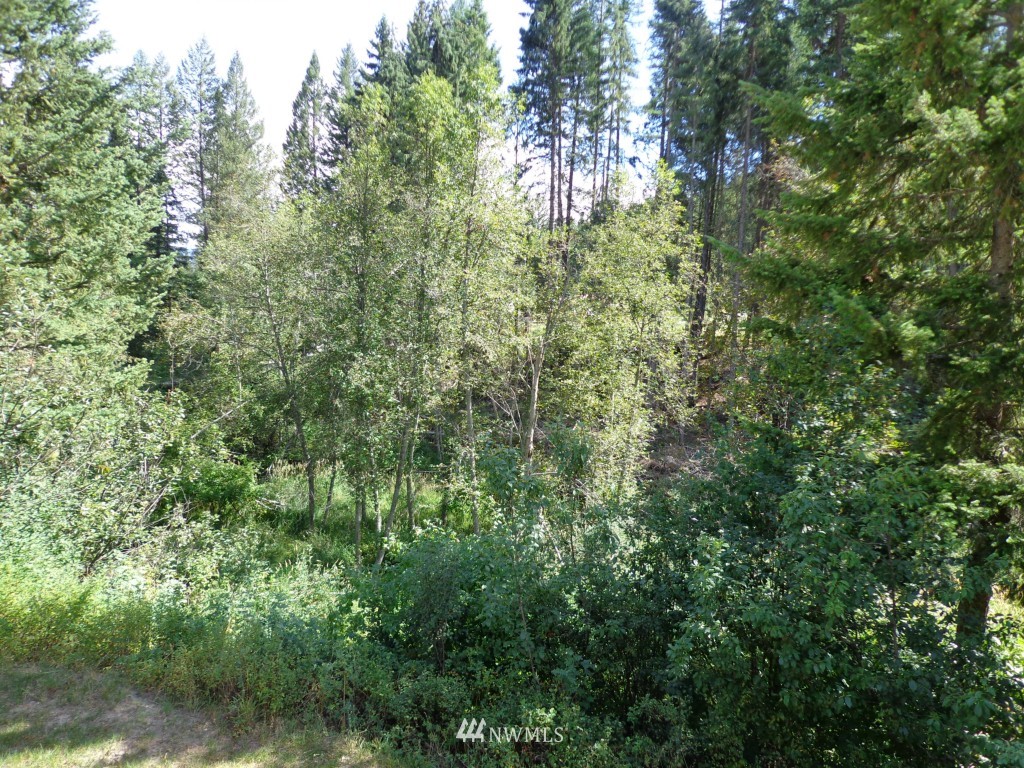 932 Trout Creek Road Republic, WA 99166 - Photo 10 of 13