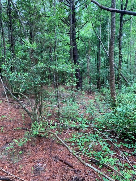 0 East E Highway Amite, LA 70422 - Photo 1 of 7