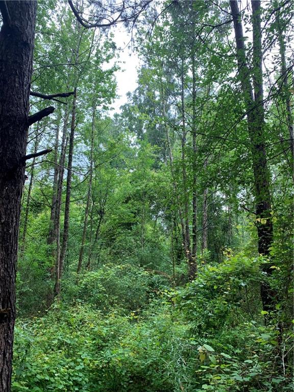 0 East E Highway Amite, LA 70422 - Photo 2 of 7