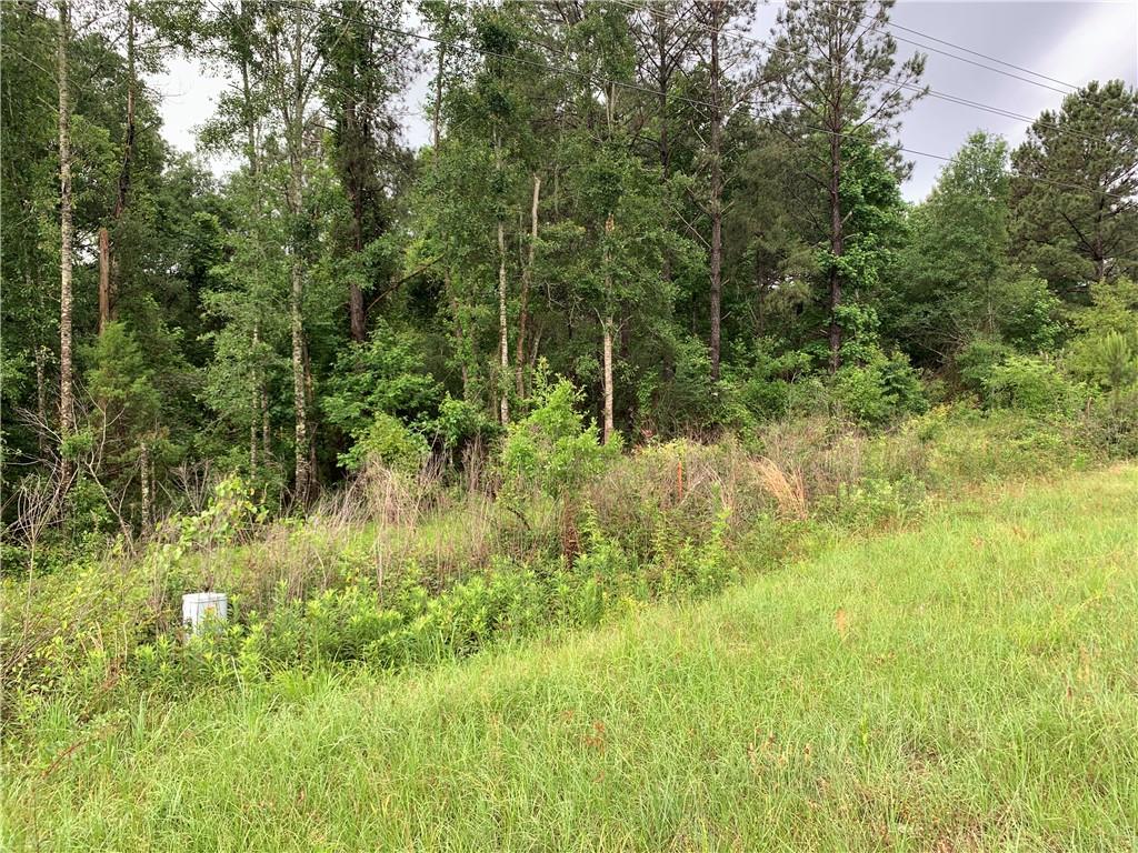 0 East E Highway Amite, LA 70422 - Photo 3 of 7