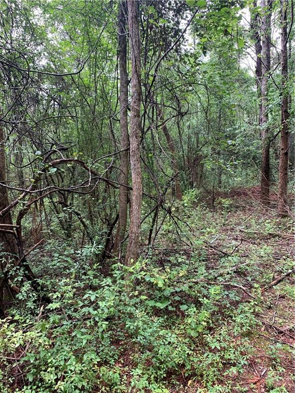 0 East E Highway Amite, LA 70422 - Photo 4 of 7