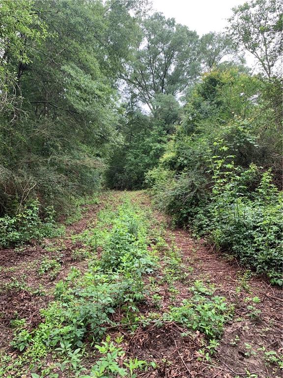 0 East E Highway Amite, LA 70422 - Photo 5 of 7