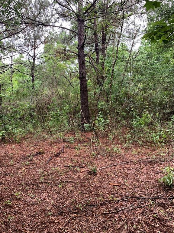 0 East E Highway Amite, LA 70422 - Photo 6 of 7