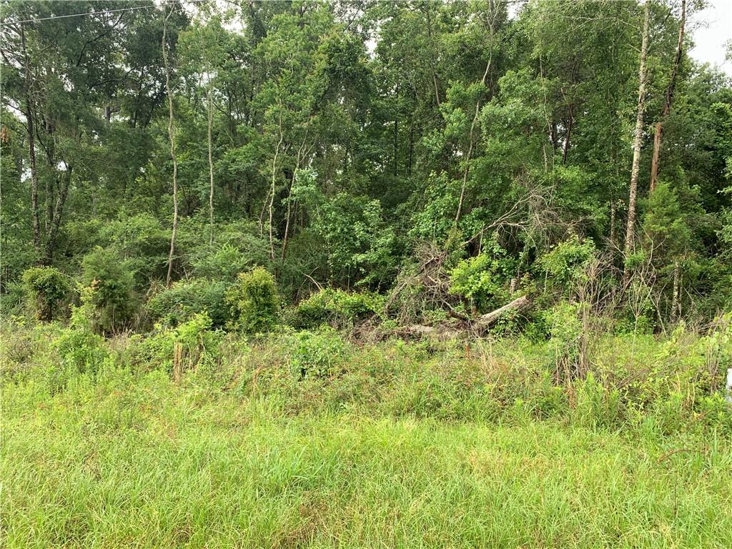 0 East E Highway Amite, LA 70422 - Photo 7 of 7