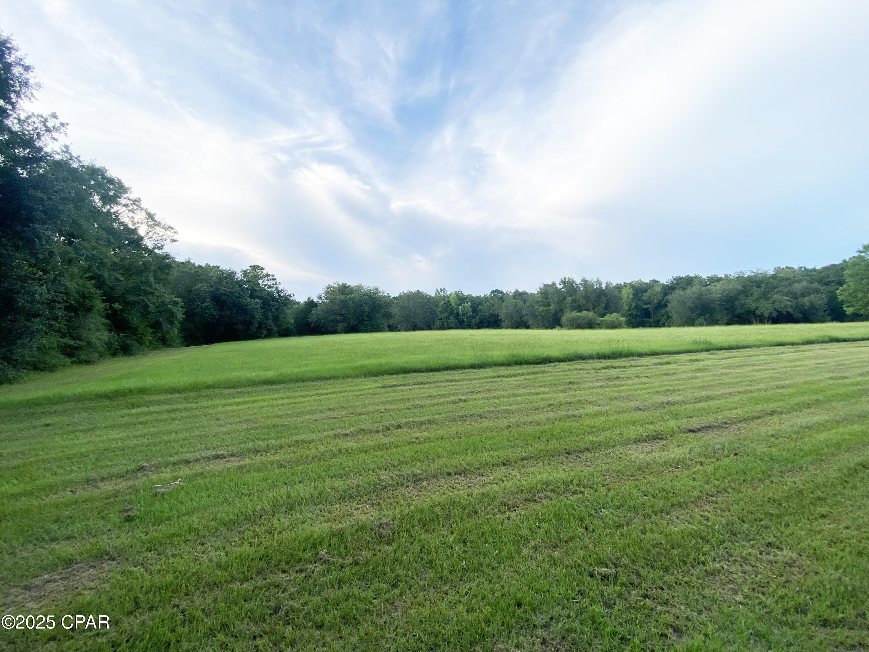 2038 Caney Branch Road Bonifay, FL 32425 - Photo 20 of 38 Gallery Image 20