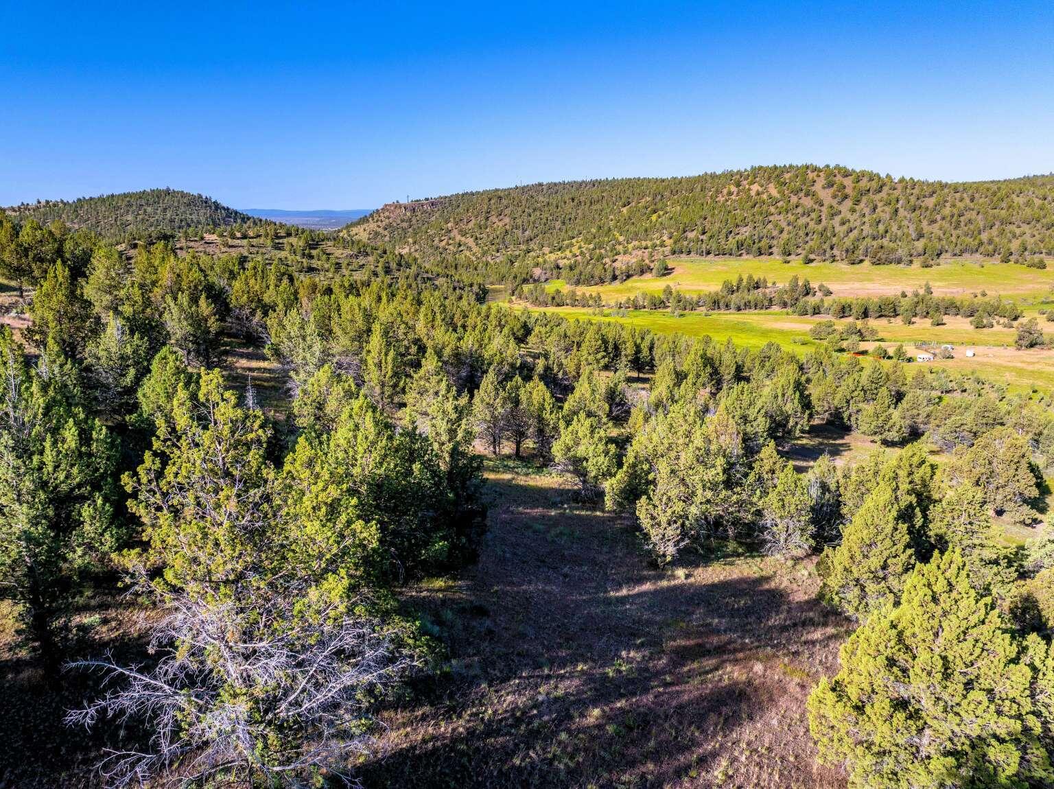 737 Raccoon Lane Alturas, CA 96101 - Photo 6 of 16 Dingman.6