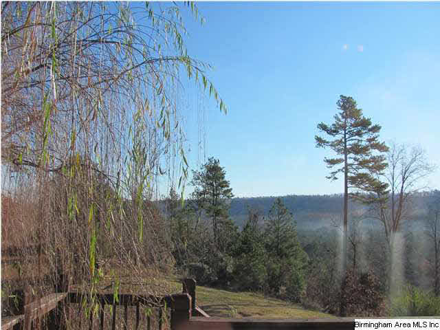 293 Deep Hollow Road Oneonta, AL 35121 - Photo 2 of 15