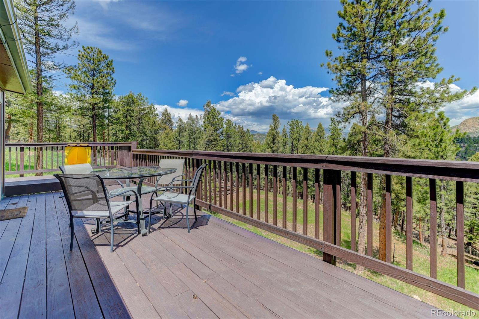 539 South Random Road Bailey, CO 80421 - Photo 35 of 46