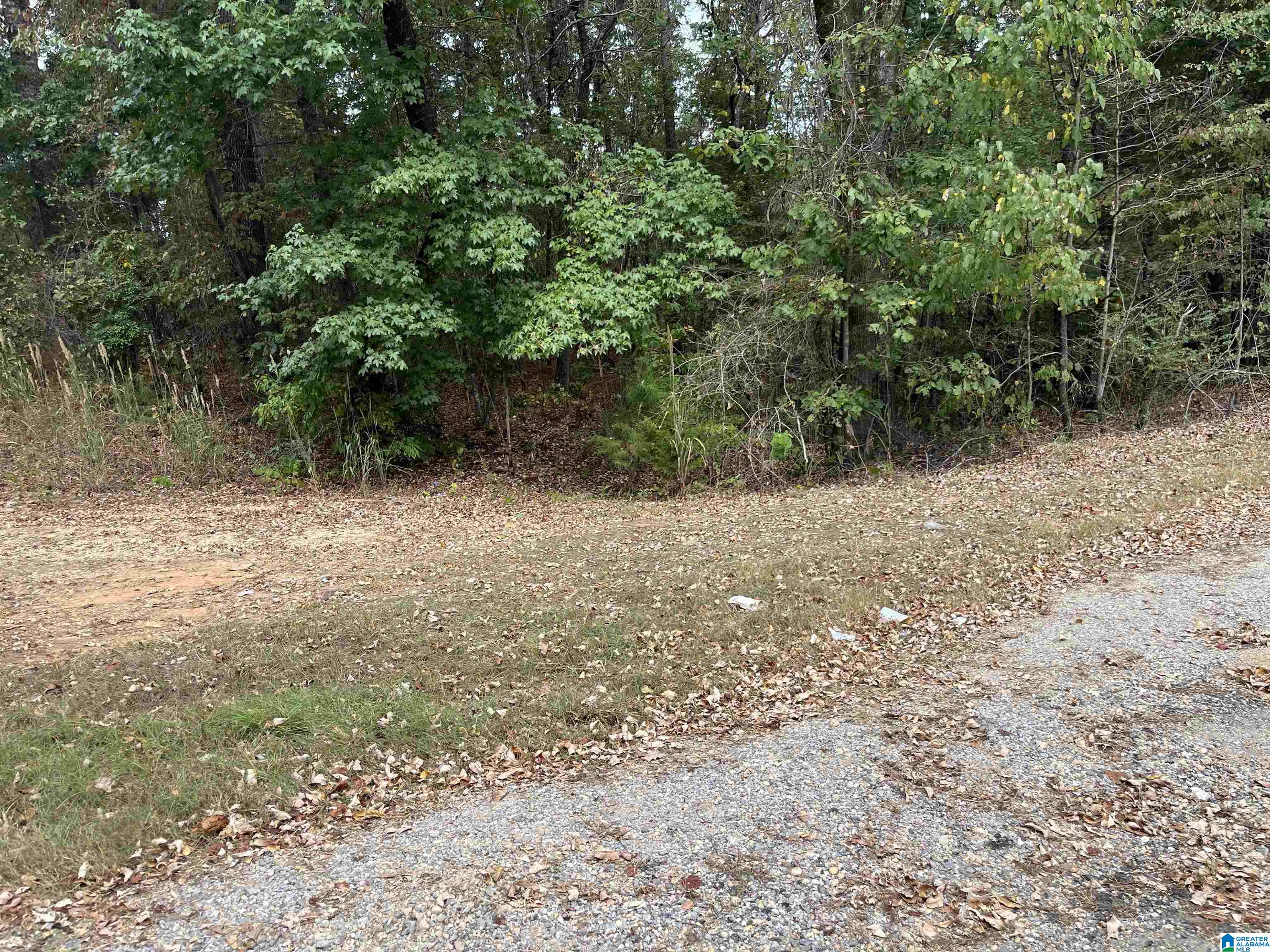 0 Deer Chase Road, Unit 16 McCalla, AL 35111 - Photo 3 of 3
