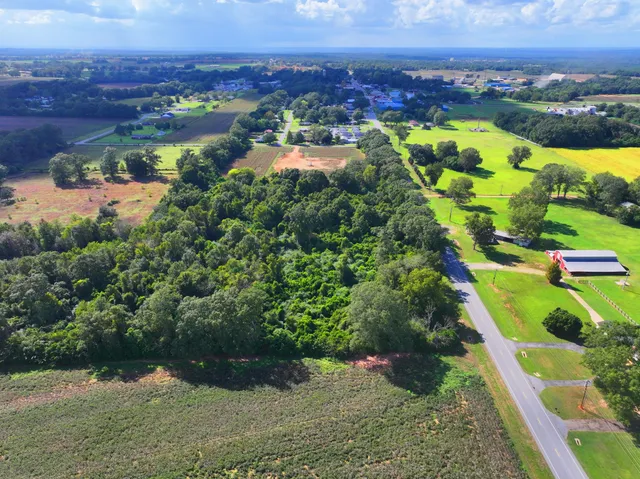 an aerial view of residential houses with outdoor space and trees