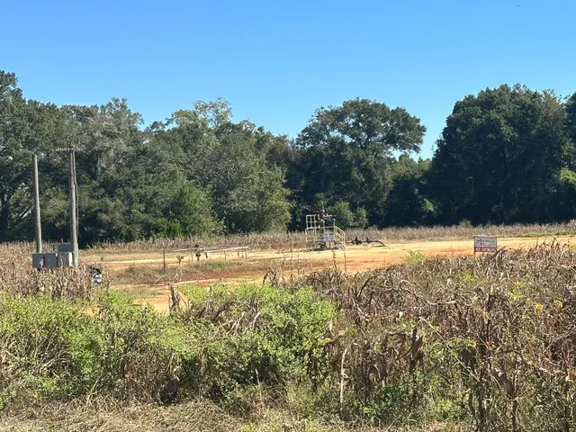 a view of yard with swimming pool and trees in the background