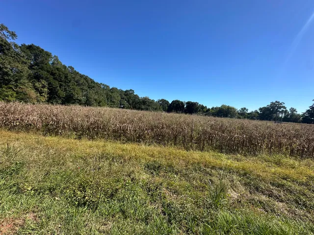 a view of lake with green field and trees