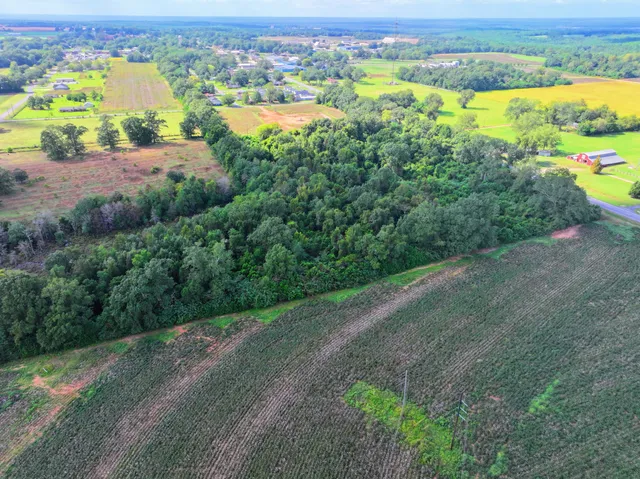 an aerial view of a houses with outdoor space and street view