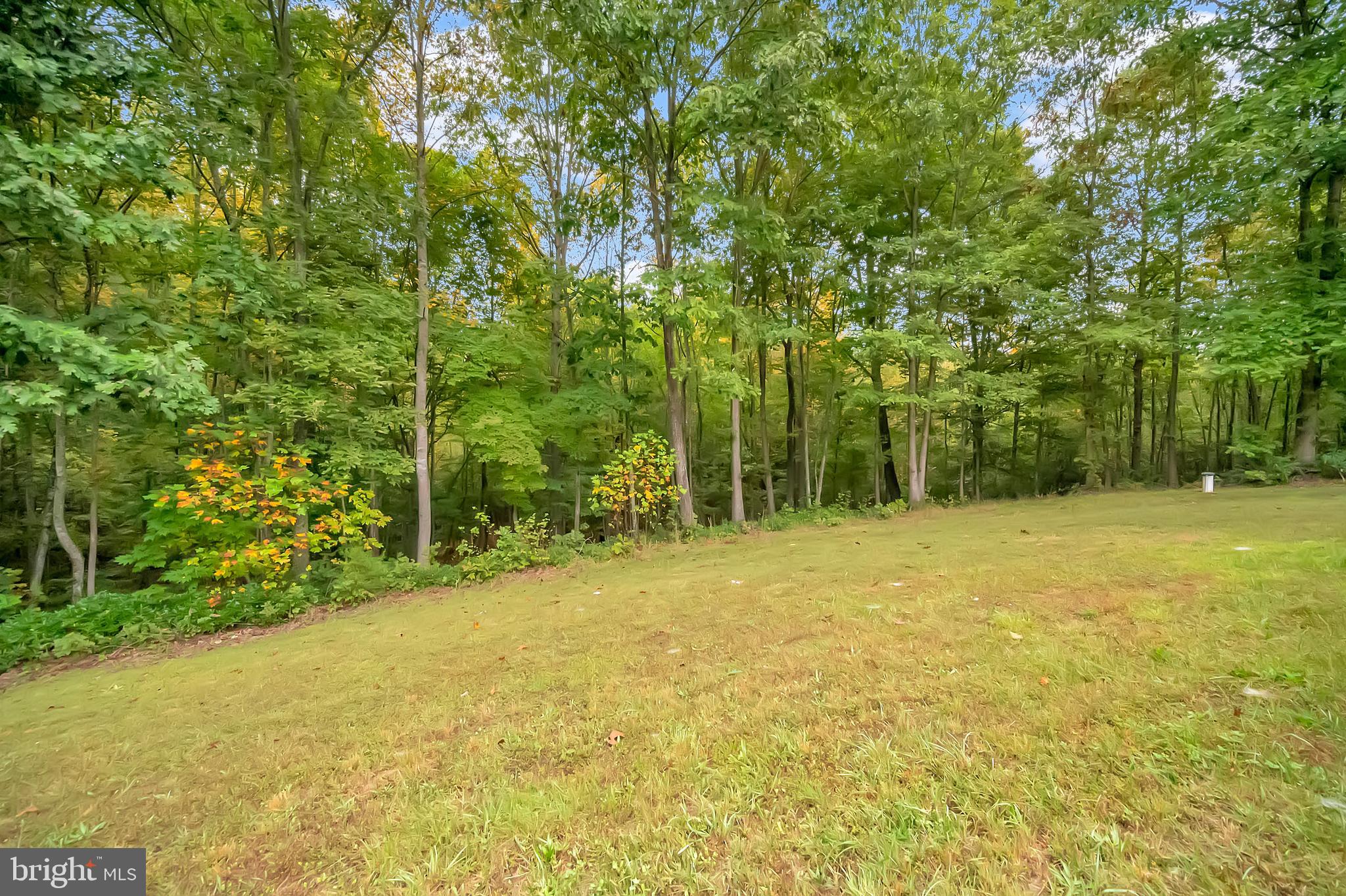 5252 Coleman Road Rhoadesville, VA 22542 - Photo 50 of 50 Gallery Image 50
