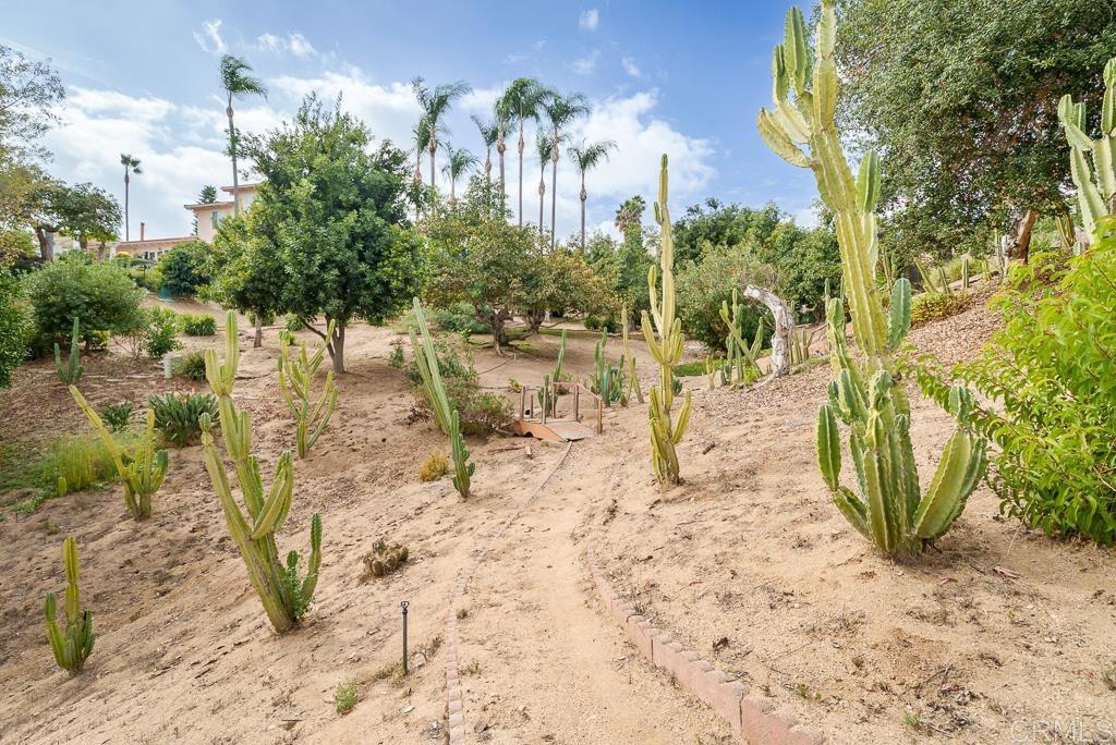 2719 Vía Del Robles Fallbrook, CA 92028 - Photo 43 of 48 a view of a backyard of a house