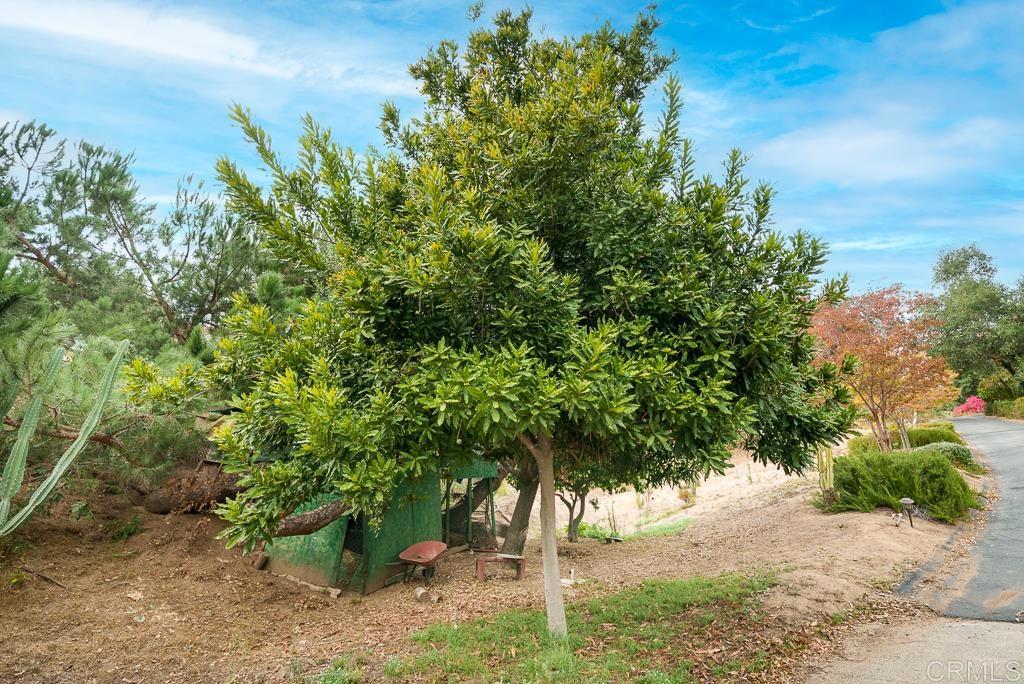 2719 Vía Del Robles Fallbrook, CA 92028 - Photo 47 of 48 a backyard of a house with lots of green space