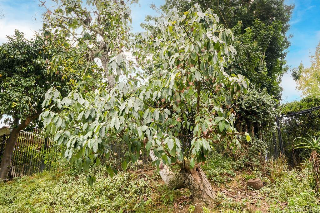 2719 Vía Del Robles Fallbrook, CA 92028 - Photo 48 of 48