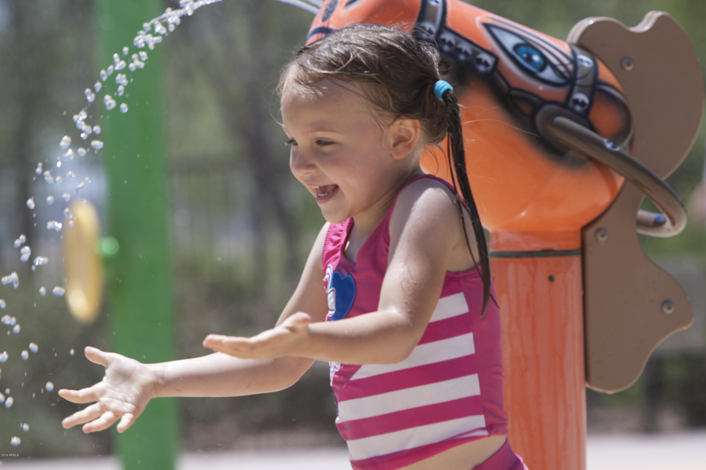 2533 West Kit Carson Trail Anthem, AZ 85086 - Photo 29 of 31 Anthem Water Park