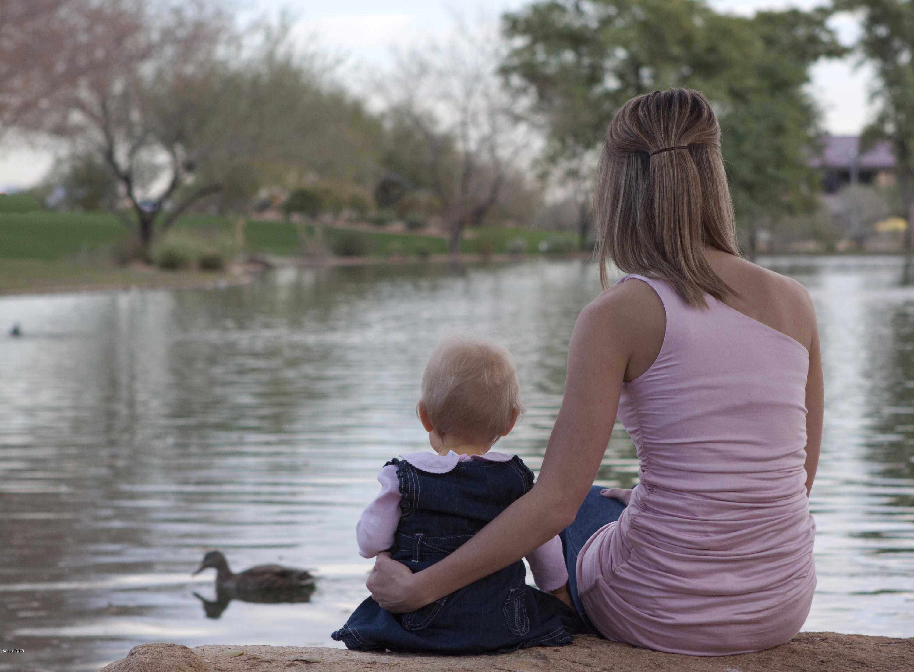 2533 West Kit Carson Trail Anthem, AZ 85086 - Photo 31 of 31 Anthem Lake