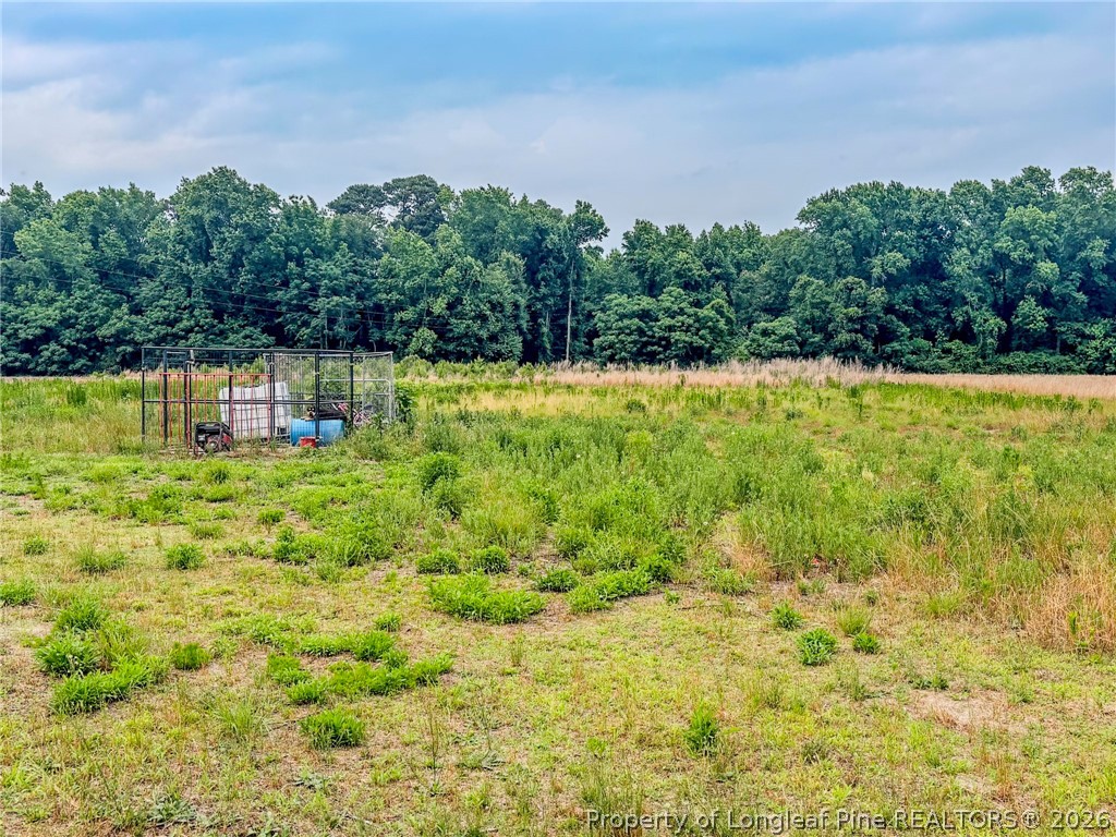 63 Newton Road Red Springs, NC 28377 - Photo 12 of 19
