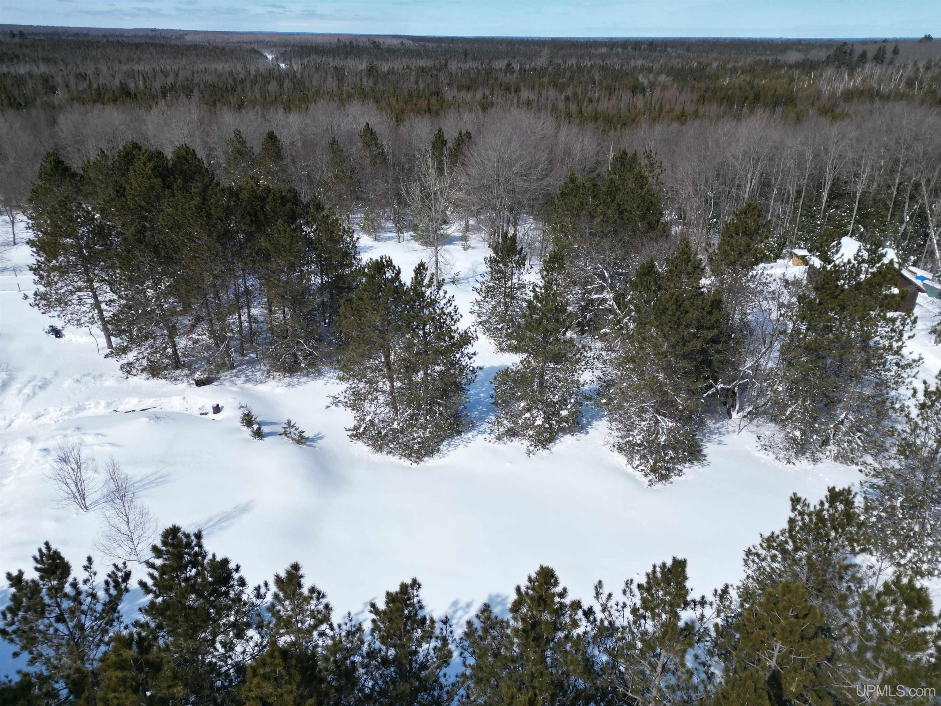 Tbd West Smith Lake Road Manistique, MI 49854 - Photo 9 of 20