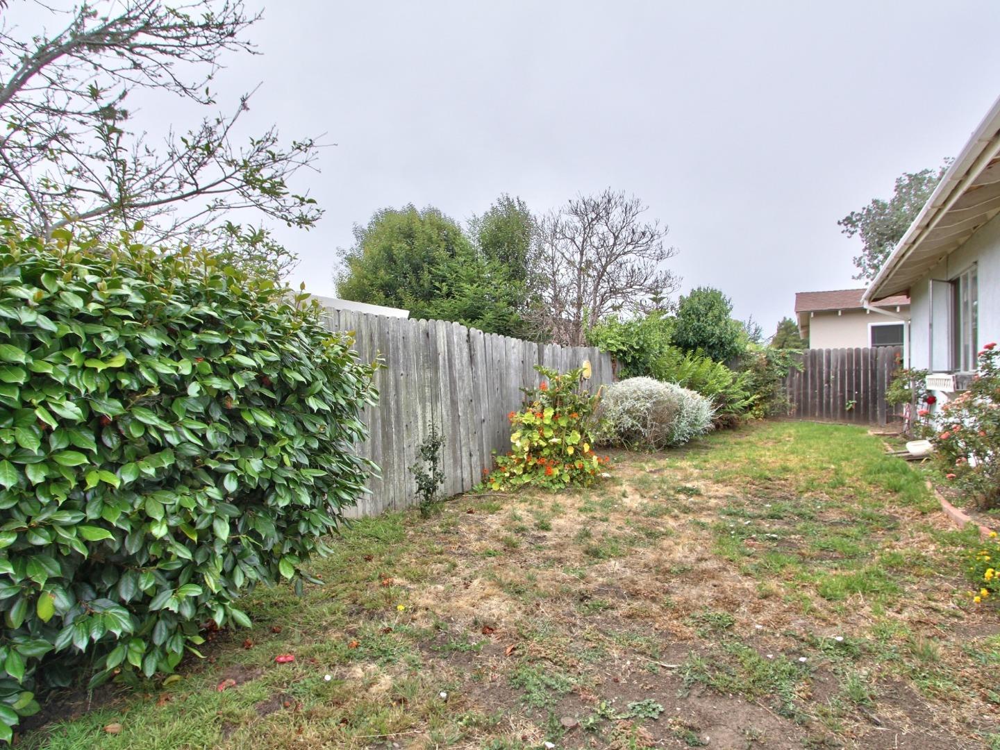 3220 Rio Road Carmel, CA 93923 - Photo 15 of 15 a backyard of a house with lots of green space
