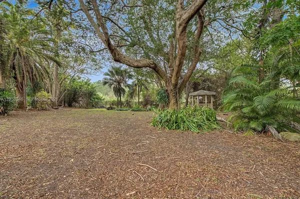 a view of yard