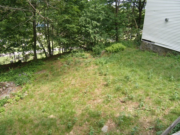 23 Desmond Road Malden, MA 02148 - Photo 4 of 24 Gallery Image 4