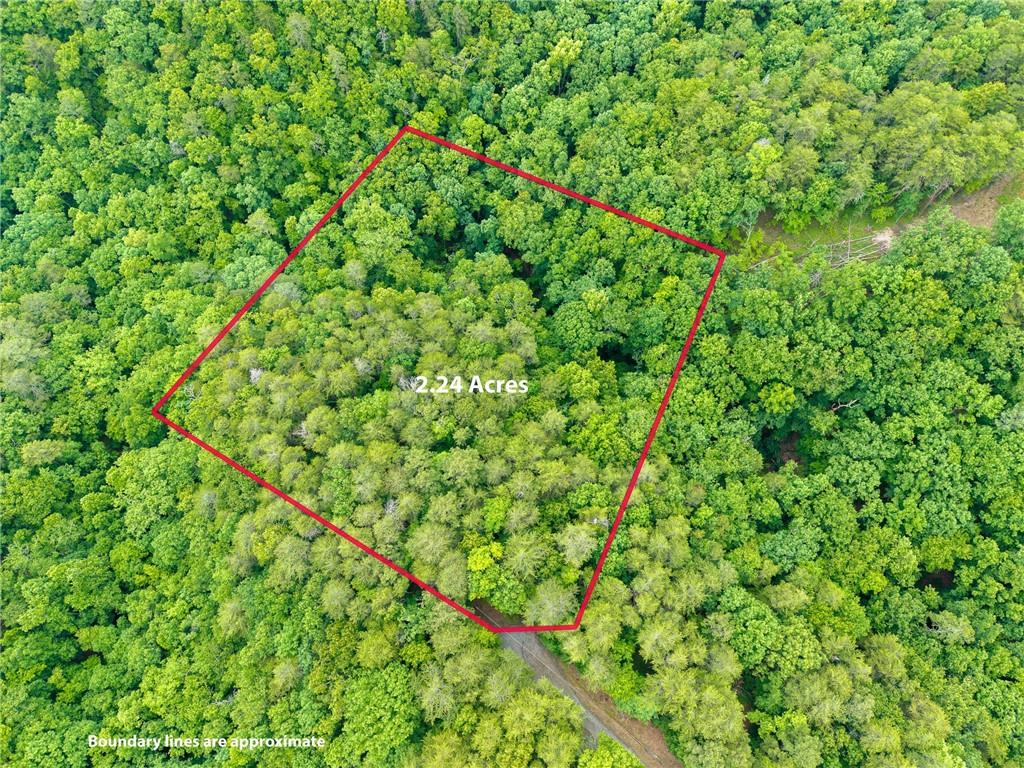 1332 Birch Lane Ranger, GA 30734 - Photo 20 of 48