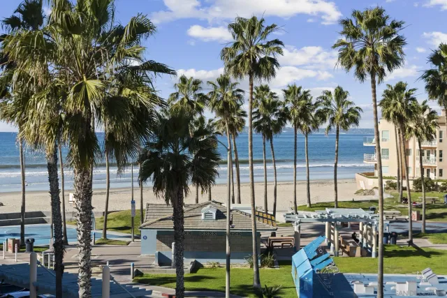 a view of outdoor space with palm trees