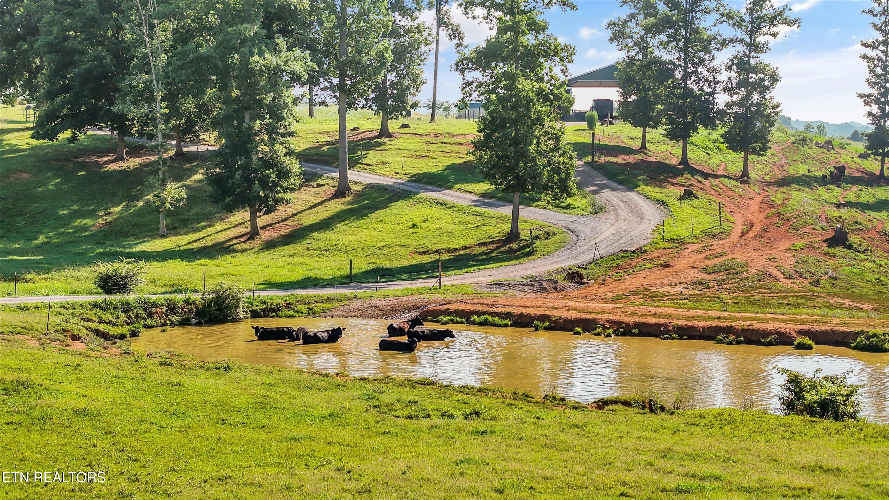 1250 Brick Mill Road Maryville, TN 37801 - Photo 6 of 58 54-1250 Brick Mill Rd01
