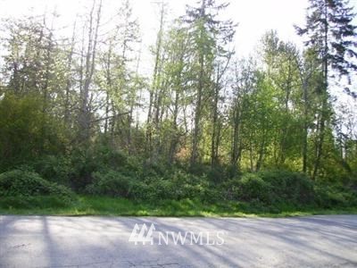 0 156th Avenue Southeast Renton, WA 98059 - Photo 1 of 1 Gallery Image 1