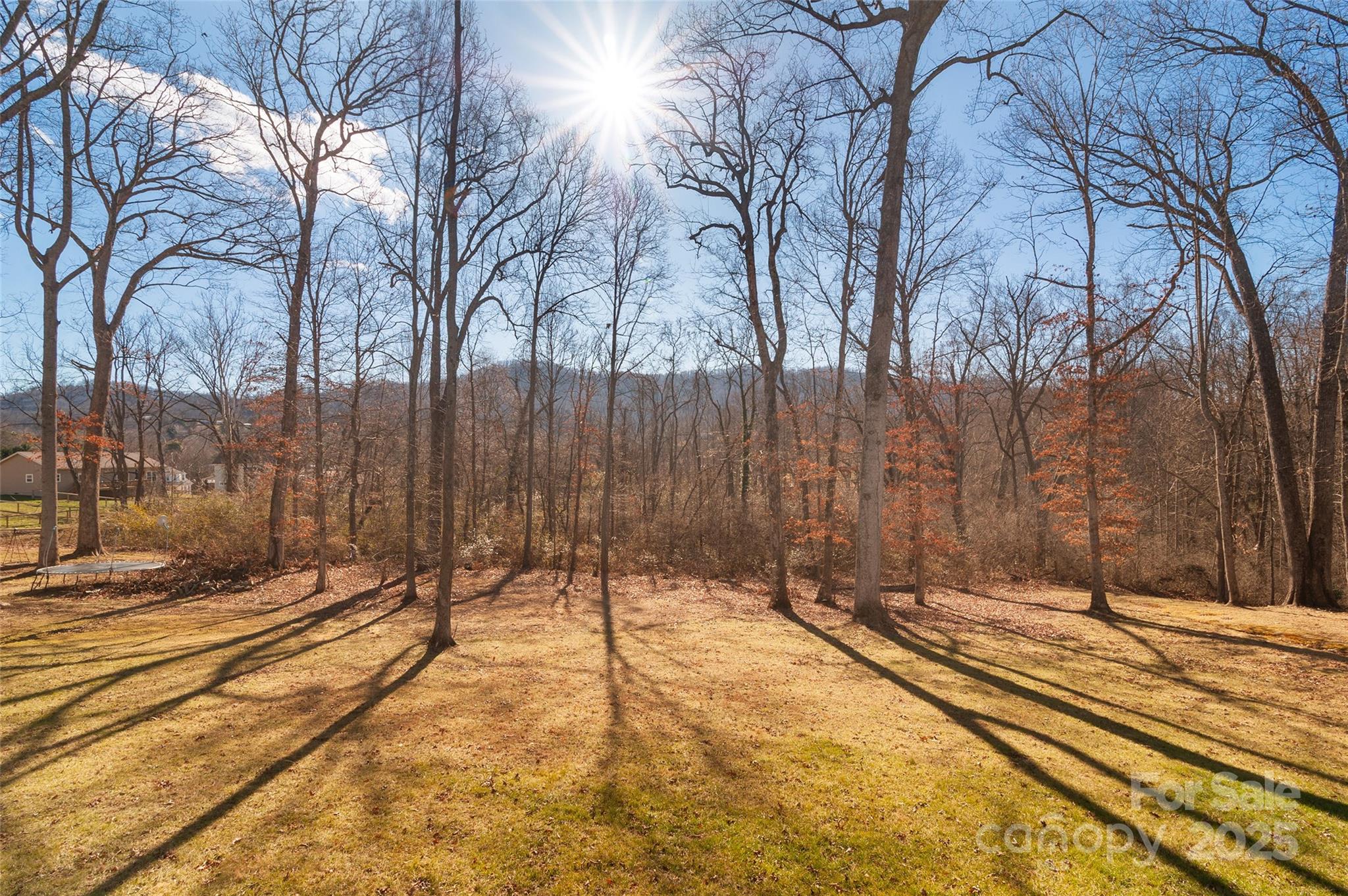 349 Ridge View Drive Clyde, NC 28721 - Photo 26 of 27 a view of backyard of a house