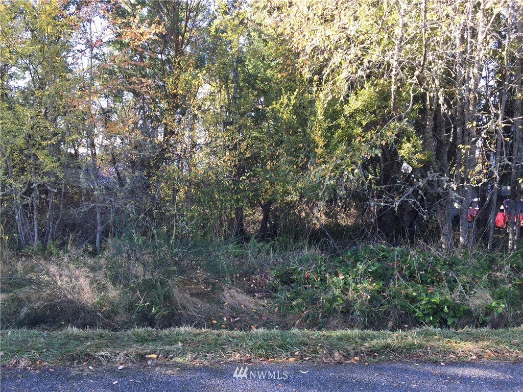999 Myrtle Road Port Townsend, WA 98368 - Photo 2 of 13 Gallery Image 2