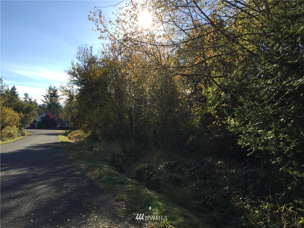 999 Myrtle Road Port Townsend, WA 98368 - Photo 3 of 13 Gallery Image 3