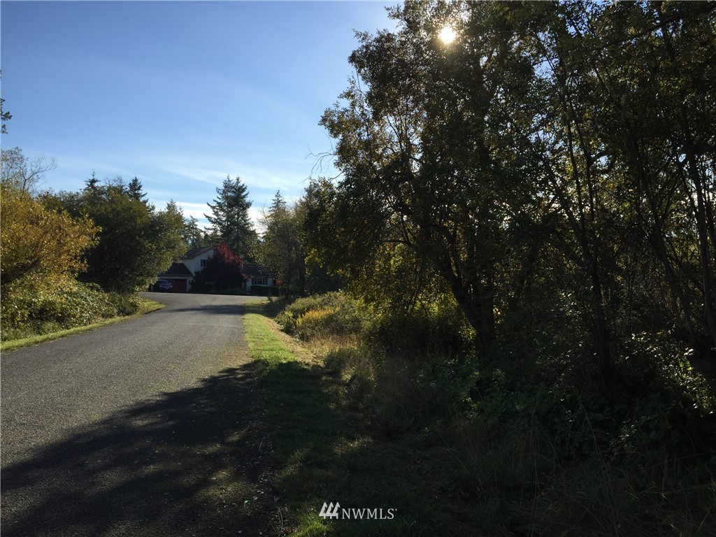 999 Myrtle Road Port Townsend, WA 98368 - Photo 5 of 13 Gallery Image 5