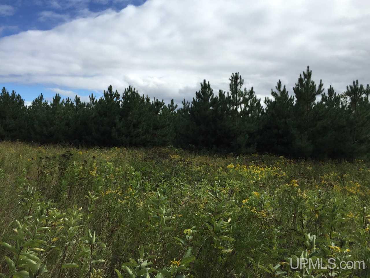 30.5 Northwest Rd Rock Mi 49880 Road Gladstone, MI 49837 - Photo 7 of 7
