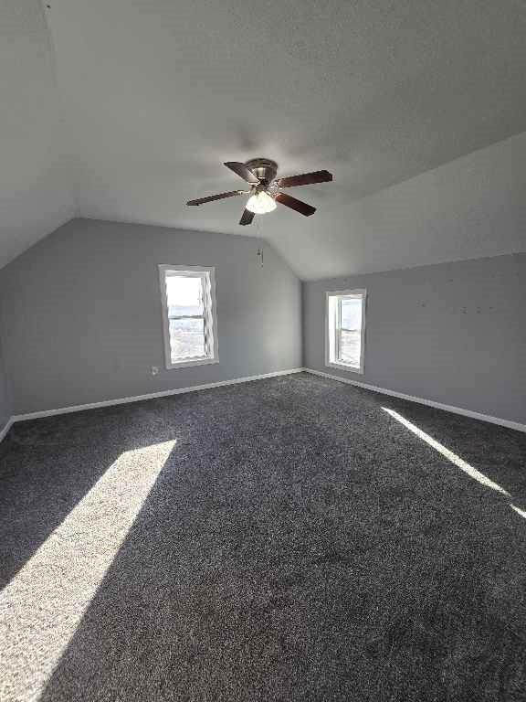313 East Kay Street Lansing, KS 66043 - Photo 19 of 26