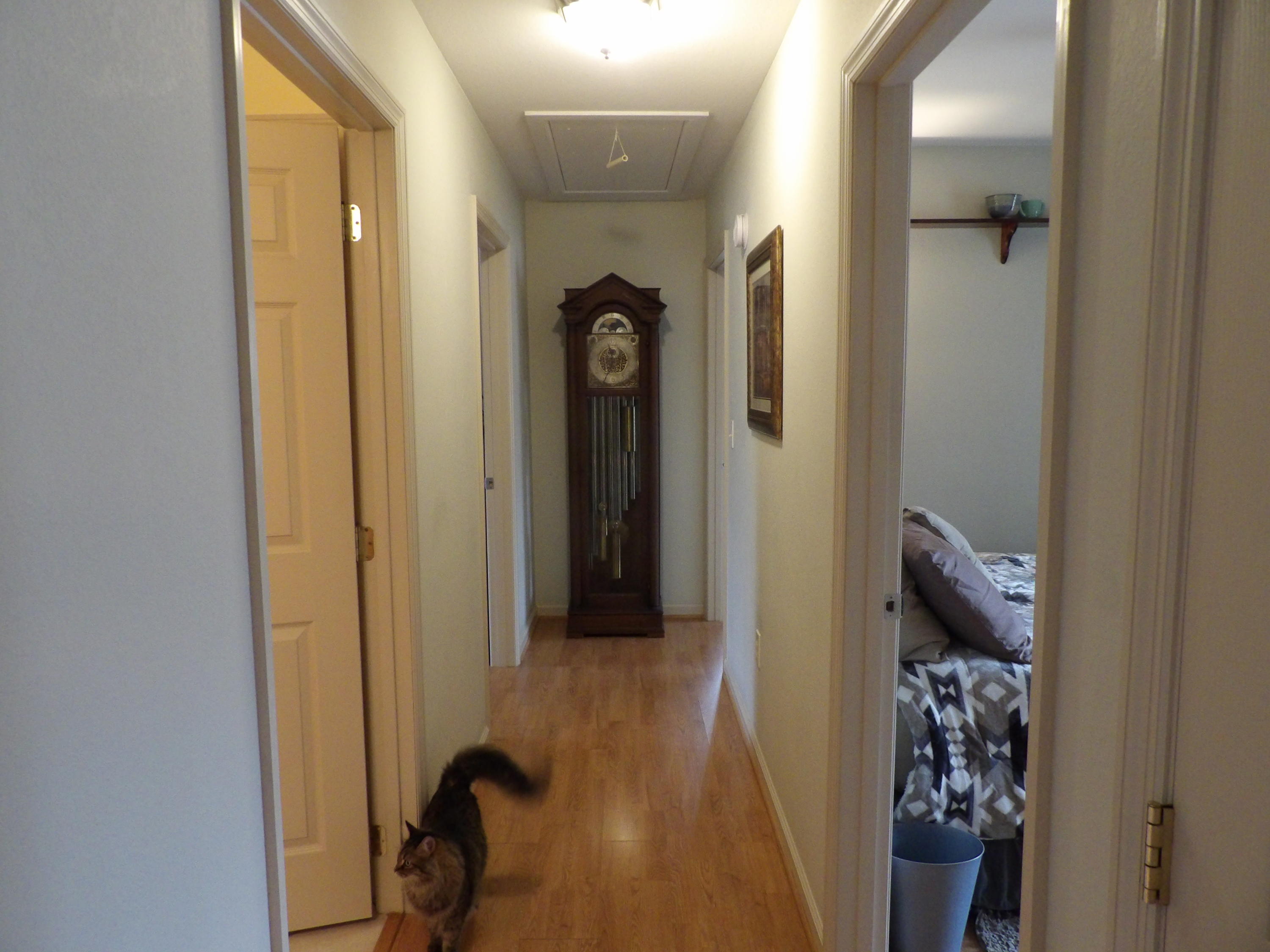 229 Jason Road Pikeville, TN 37367 - Photo 12 of 42 100_0772