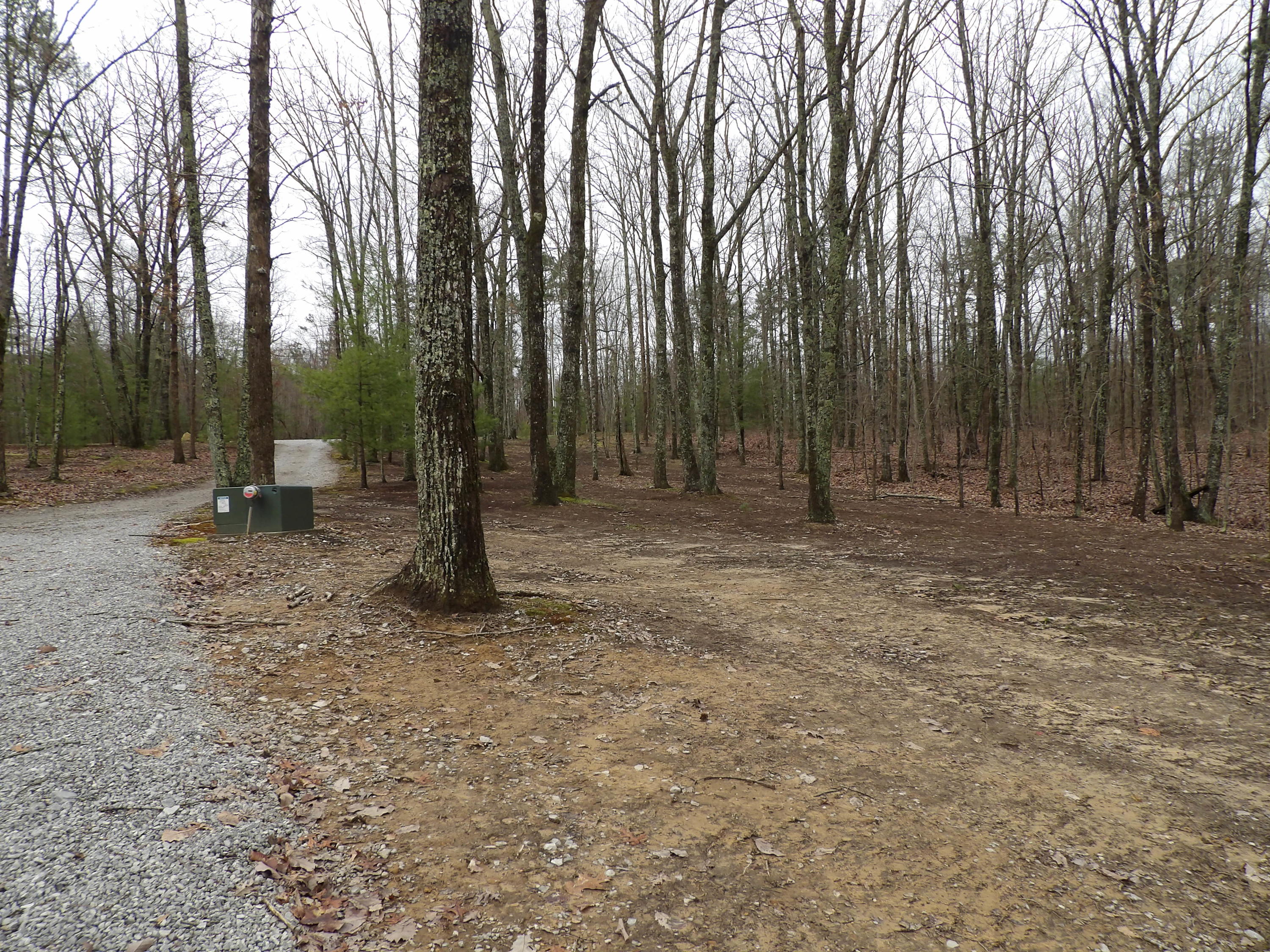 229 Jason Road Pikeville, TN 37367 - Photo 38 of 42 100_0790