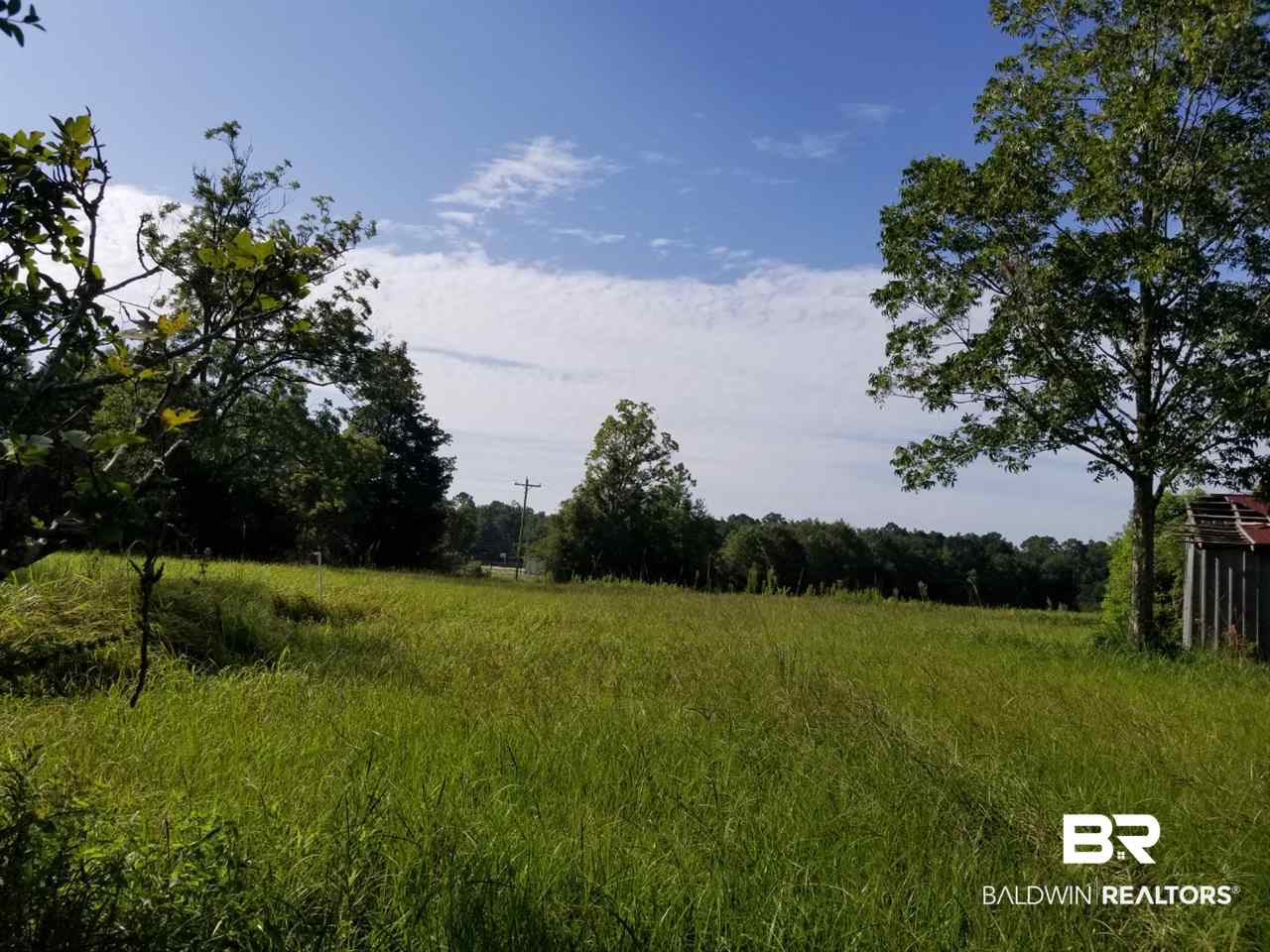 14760 County Road 64 Loxley, AL 36551 - Photo 9 of 19