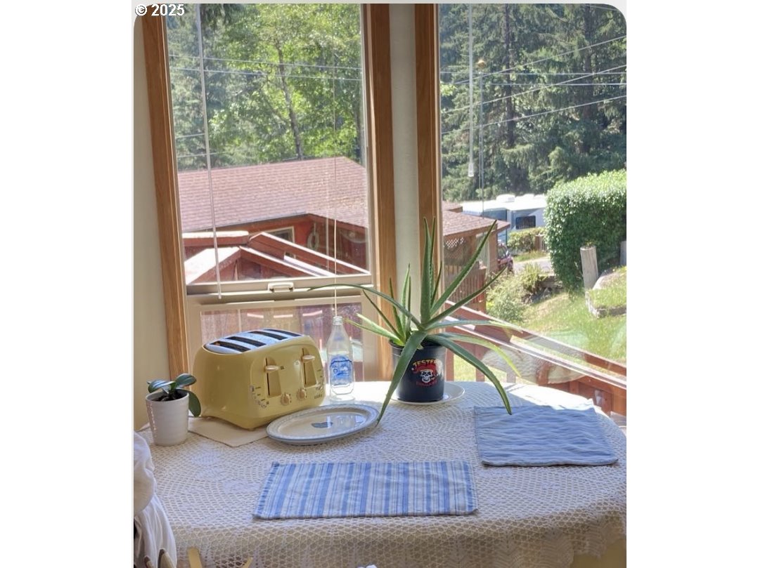 19921 Whaleshead Road, Unit B2 Brookings, OR 97415 - Photo 14 of 41 a view of living room with a floor to ceiling window and potted plants